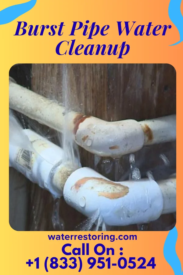 Burst Pipe Water Cleanup in Ulmer, SC